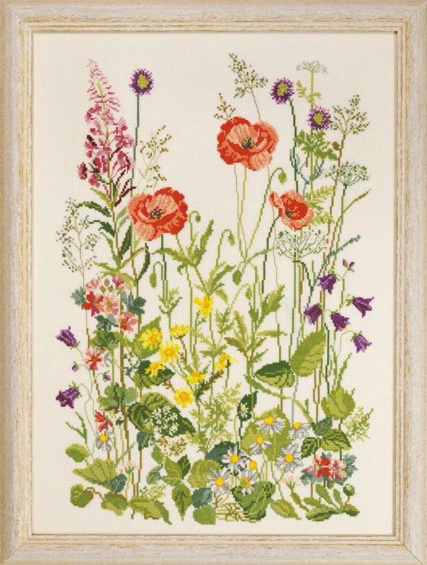 Broderikit Valmuer aida 33 x 45 cm R5409 #