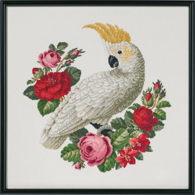 Broderikit Hvid ara 50 x 50 cm