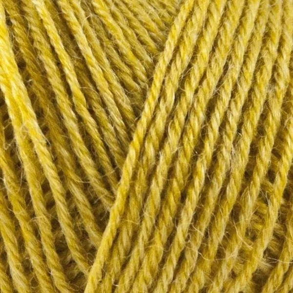Onion Nettle Sock Yarn 1016
