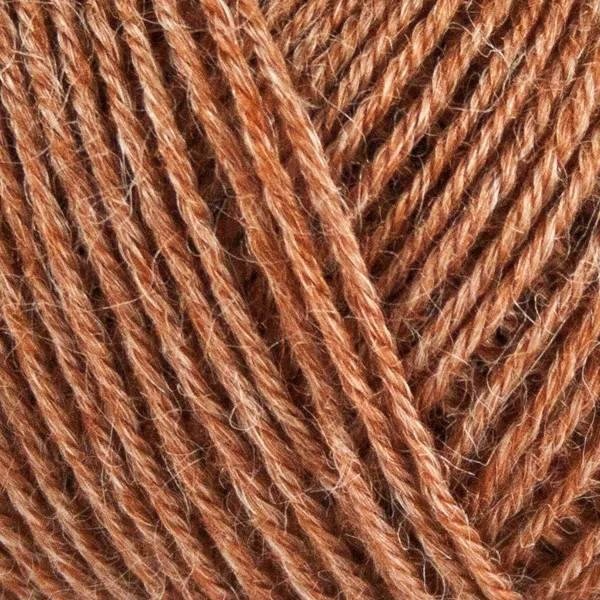 Onion Nettle Sock Yarn 1032