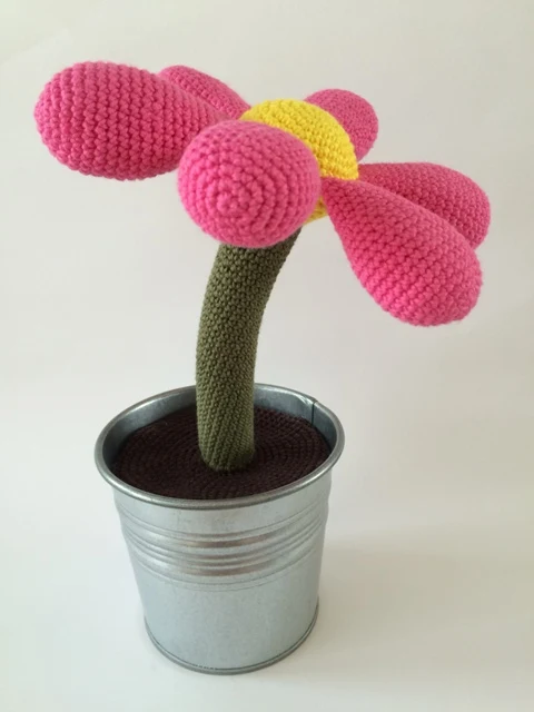 Blomst i zinkspand