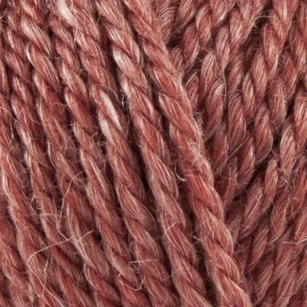Onion No. 6 631 Marsala