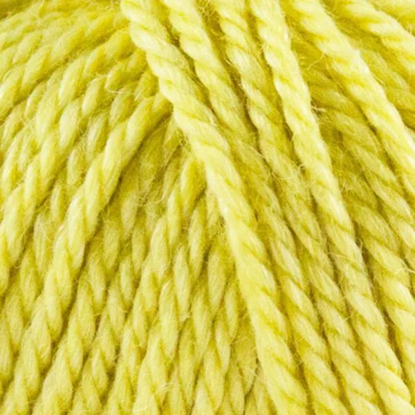 Onion No. 6 635 Citron