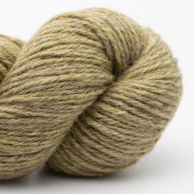 Erika Knight Wool Local Aran 807 Ingleton