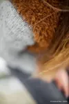 Opskrift 35·03