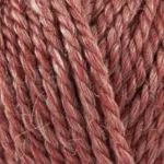 Onion No. 6 631 Marsala