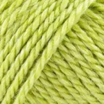 Onion No. 6 624 Lime