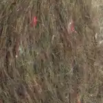 Rowan Tweed Haze