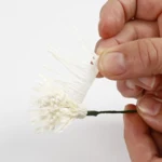 Blomsterstængel