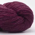 Bio Shetland 31 Blomme