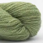 Bio Shetland 11 Lindgrøn