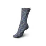Regia 4-ply 100 g color 9396 Woodstock